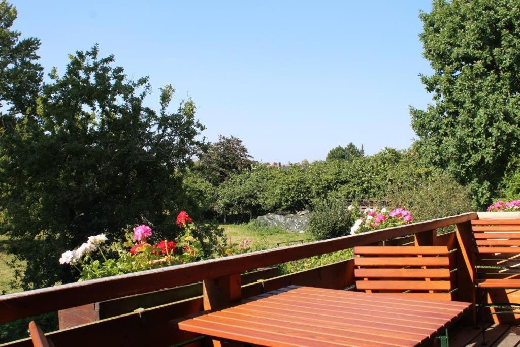 Dahmerhof Rom bilde